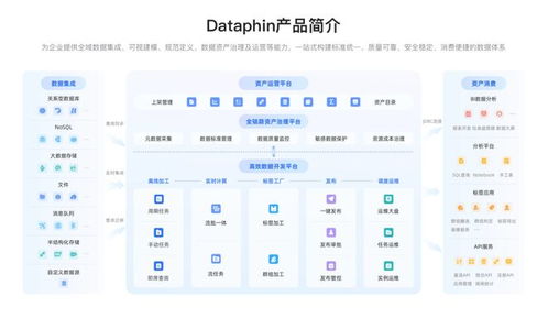 面向2025 數(shù)據(jù)戰(zhàn)略制勝，必備數(shù)據(jù)中臺系統(tǒng)選型與數(shù)據(jù)處理服務(wù)深度解析